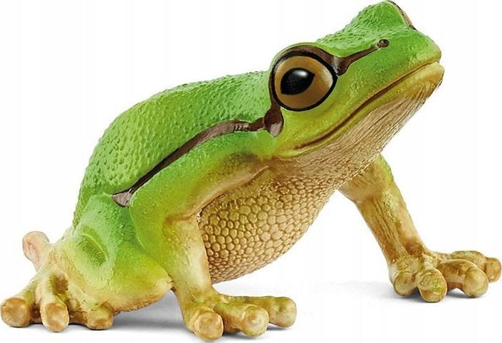 Figurka Schleich European Tree Frog