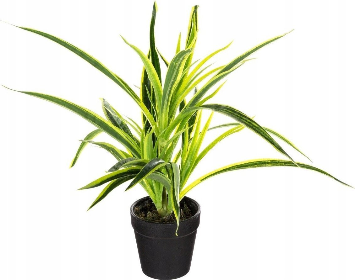 Atmosphera Sztuczna roślina w doniczce TRAWA, 30 cm