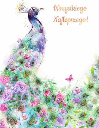 HENRY Karnet B6 Paw 2