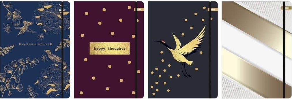 Beniamin Teczka z gumką A4 Metalic Colour