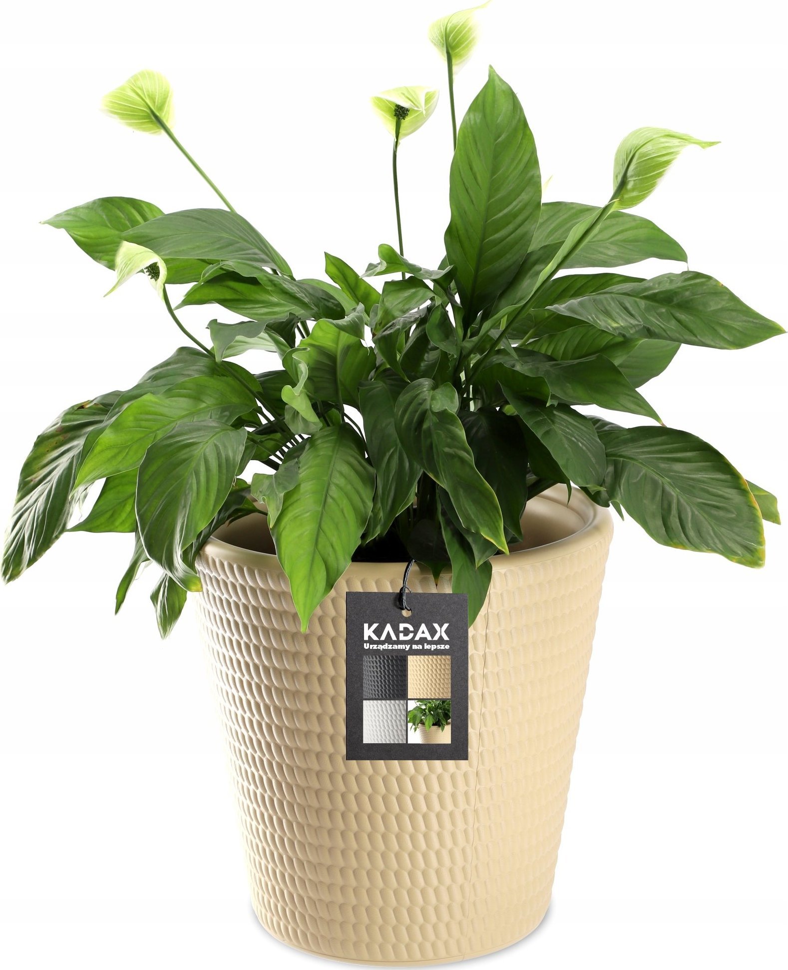 Kadax Donica Doniczka Kwietnik Osłonka Beżowa 40 cm