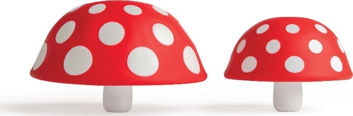 Ototo Magiczny Grzyb - Entonnoir