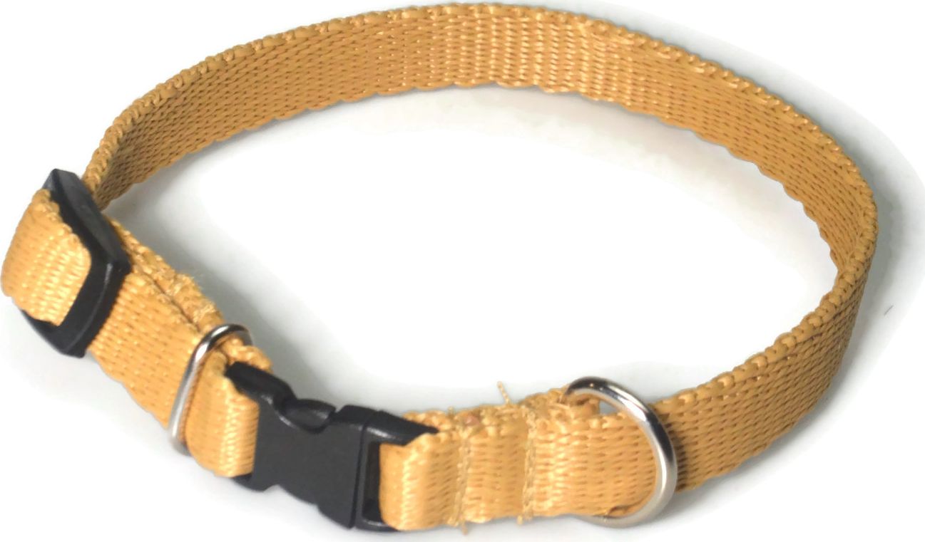 Alizoo Obroża dla małego psa 13mm/21-36cm - ALIZOO