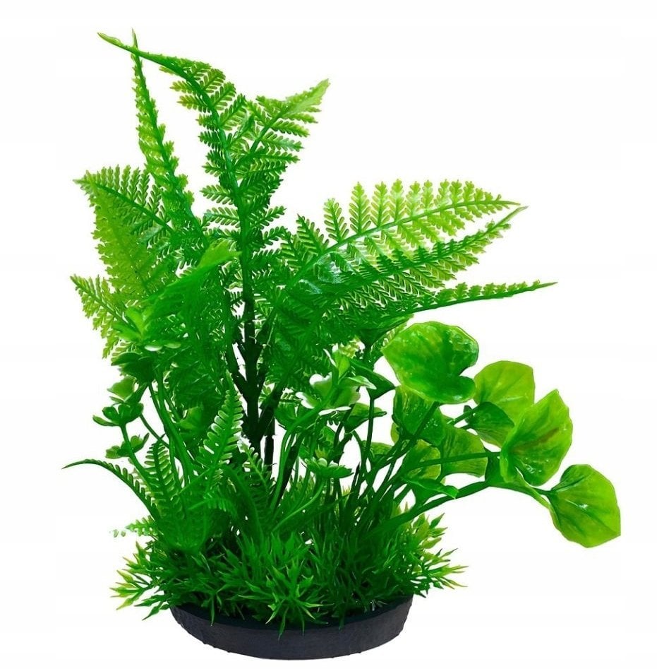 Terra Natura Aqua Natura, roślina, do dekoracji akwarium, zielona, plastikowa, 18 cm, peperomia ostra i fern
