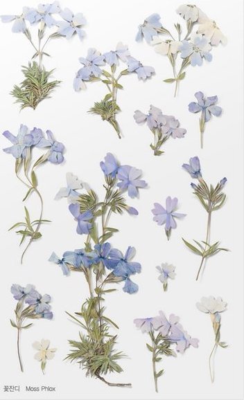 Appree Naklejki ozdobne kwiaty Floks