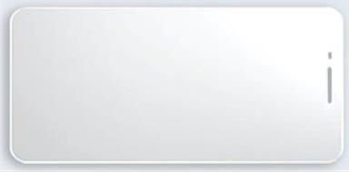 Capture Screen Protection for Eagle