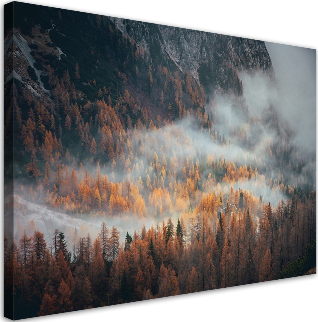 Feeby Obraz na płótnie, Las we mgle - 120x80