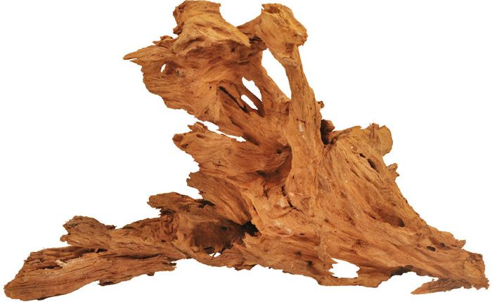 Happet KORZEŃ MANGROWIEC L 40-60 cm