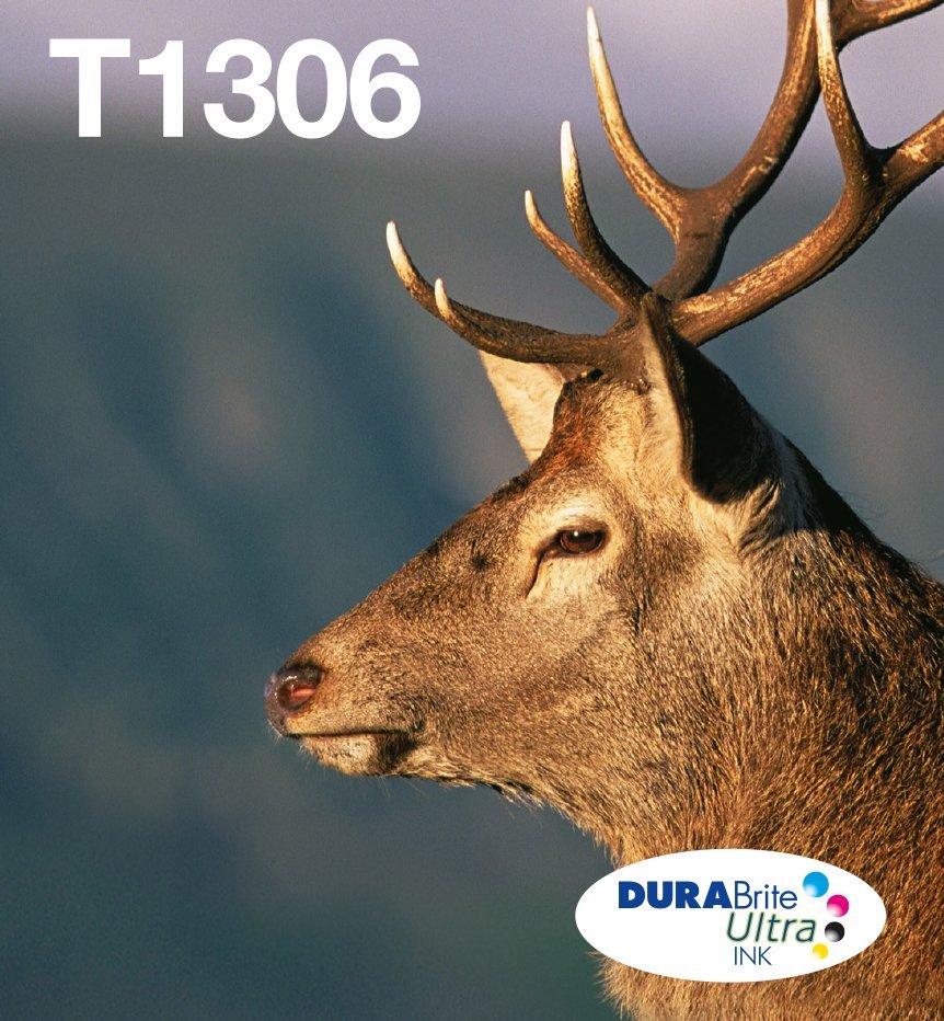 Tusz Epson Epson T1306 Multipack Easy Mail Packaging - 3er- Pack - yellow, Cyan, Magenta - Original - Box - Ink cartridge - for WorkForce WF- 3010DW,