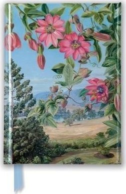 Notatnik A6 linia TW Widok w ogrodzie Brisbane Kew