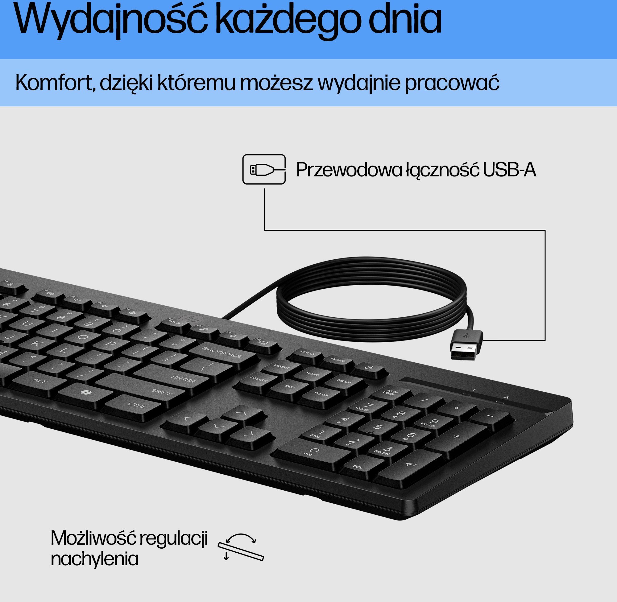 Klawiatura HP 125 G2 - Klawiatura - 100% - full size - USB - QWERTZ - niemiecki - czarny