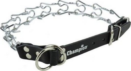 Champion Champion Kolczatka dla Psa 1 Rym 50cm/2,5mm/1,4