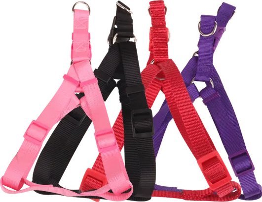 Nobleza Solidne szelki Solidne szelki