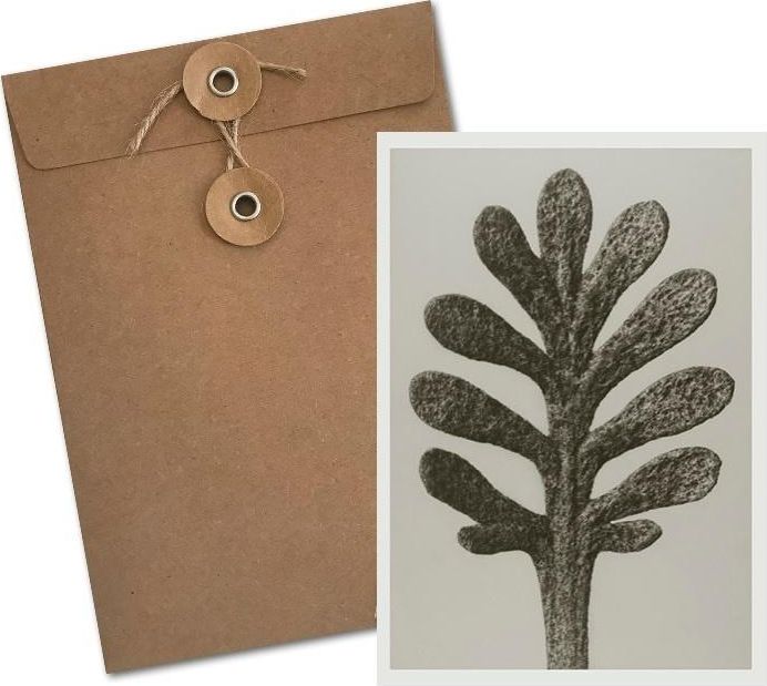 Skona Ting Karnet BF5-111 Krwawnik baldaszkowy