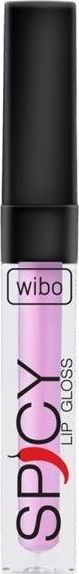 Wibo WIBO_Spicy Lip Gloss błyszczyk do ust 19 3ml