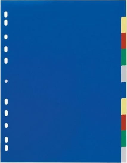 Durable DURABLE Ordnerregister blanko 2x5fbg überbreit 10Bl