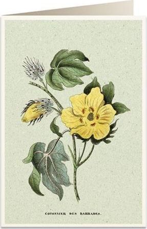 Tassotti Karnet B6 + koperta 6058 Bawełna