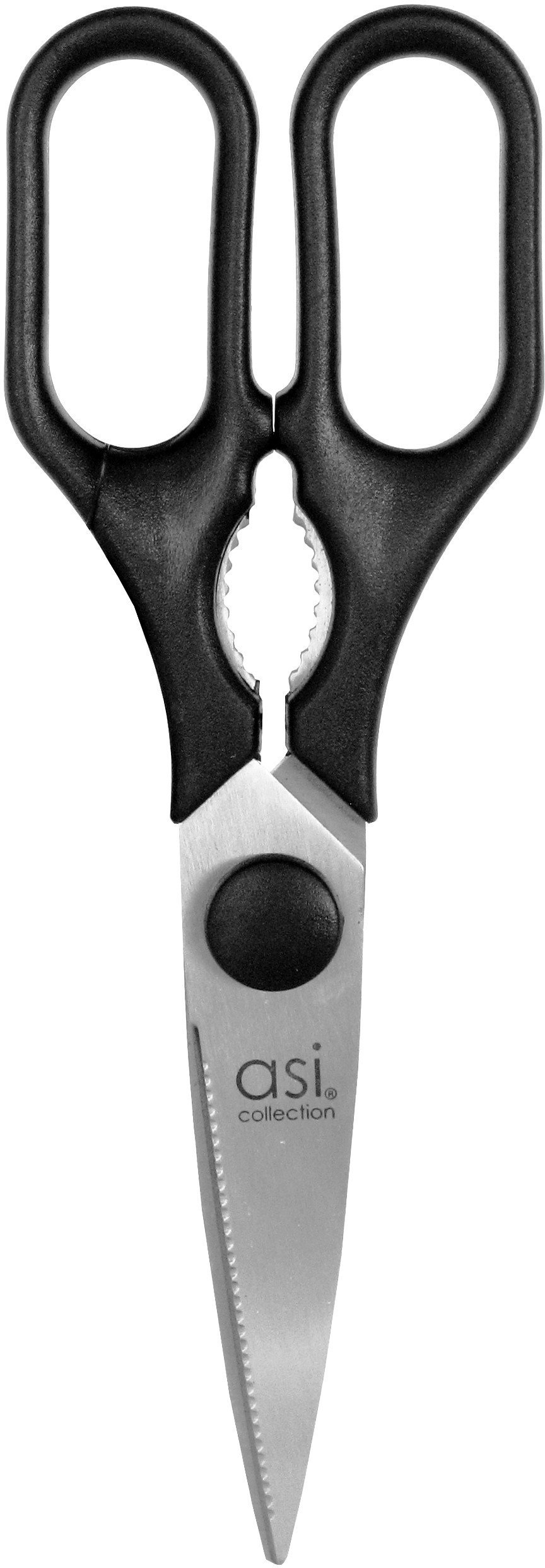 ASI COLLECTION Skeres nerusejosa terauda 8032633010875