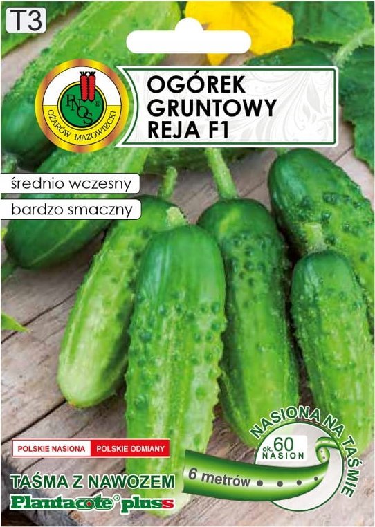 Ogórek Reja F1 6m taśmy z nawozem Platnacote Średnio wczesna odmiana