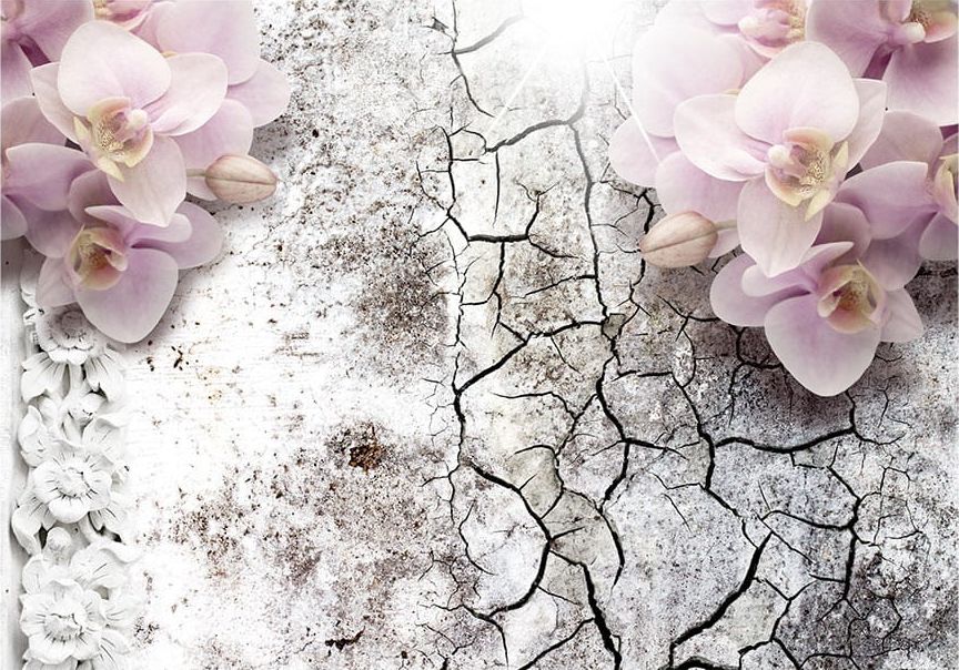 DecoNest Fototapeta - Pąsowe orchidee - 100X70