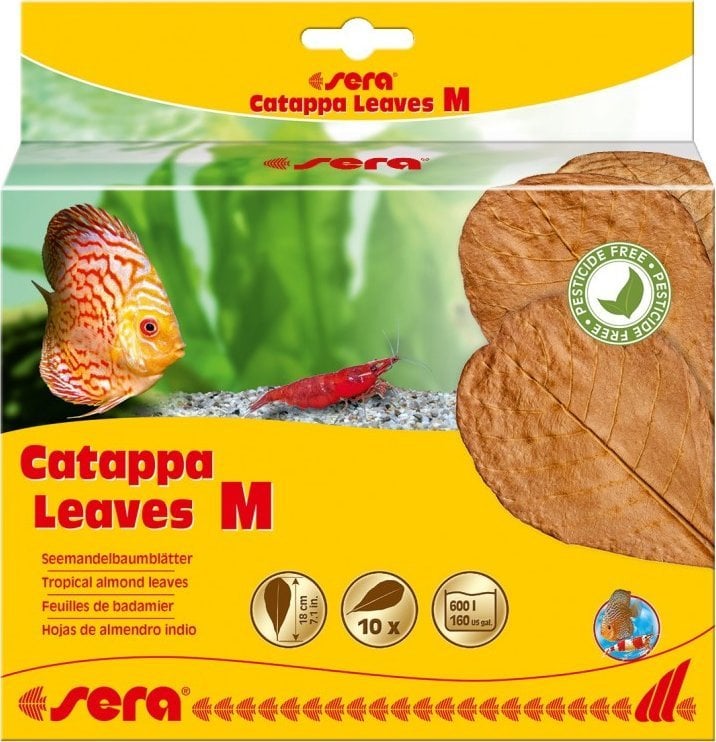 Sera Liście migdałecznika - Catappa Leaves M, 18 cm, 10szt/OPAK