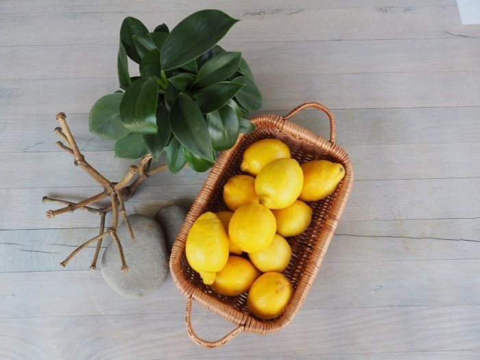 Wnuk Tacka pełna z uszkami (Prostokątna/35cm)