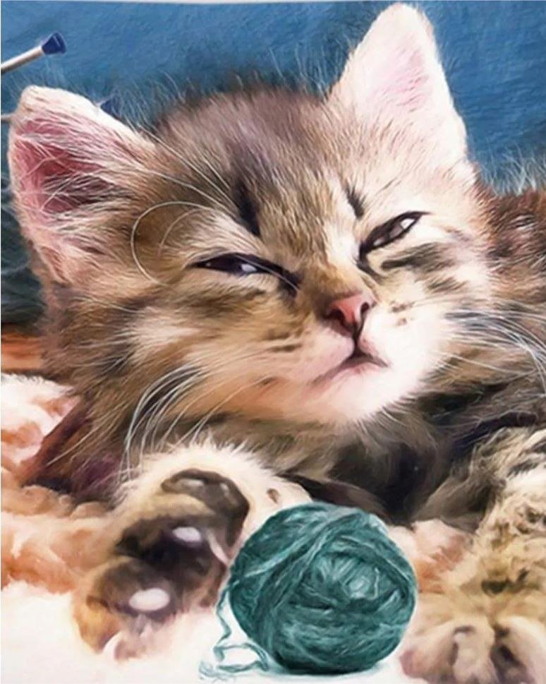 Norimpex *****Diamentowa mozaika Kot z włóczką 1008307