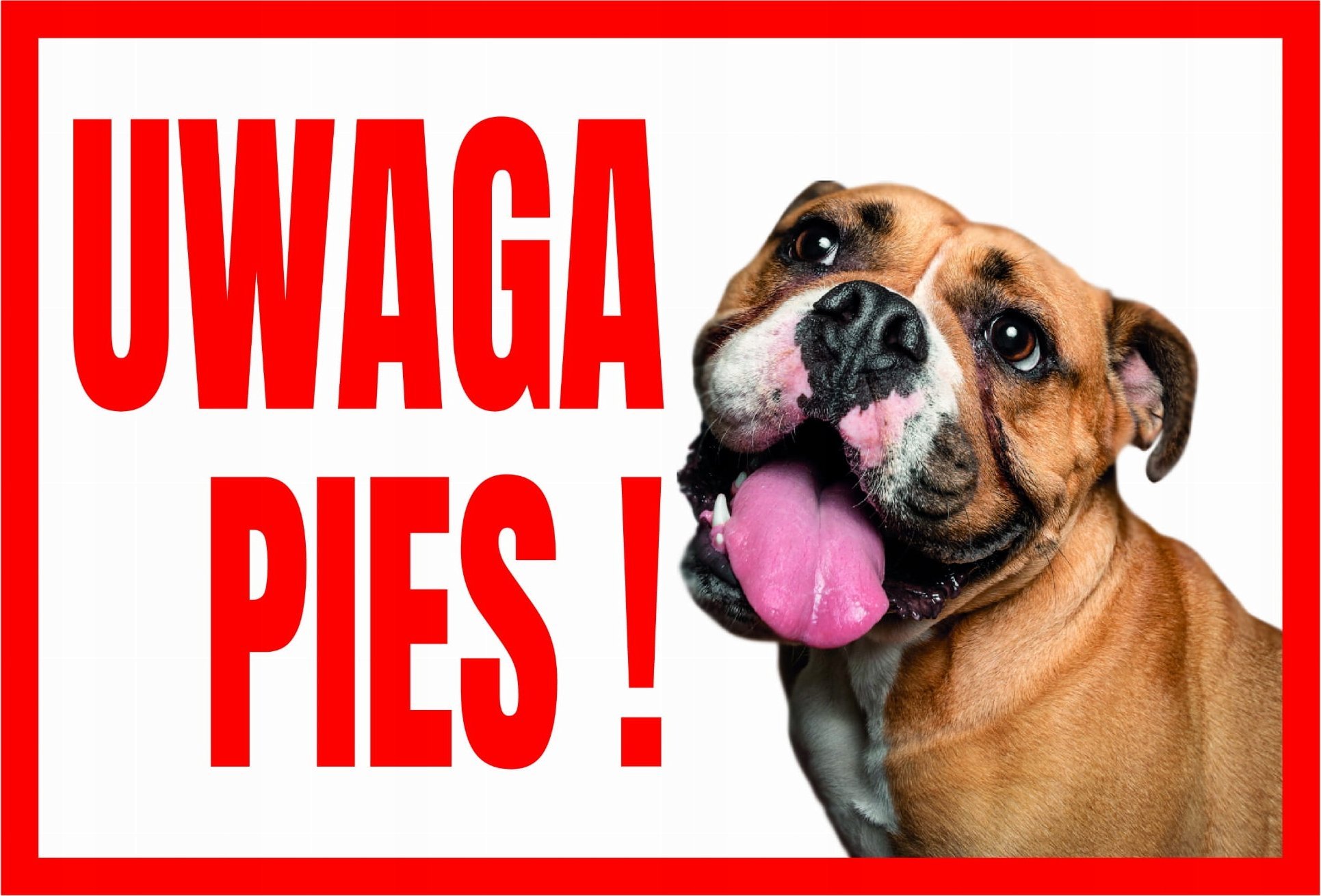 Mój dom Uwaga Pies ! Buldog - Tabliczka Ostrzegawcza Libres Polska Sp Tup-2 5902082237426