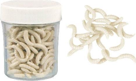 Konger Sztuczne białe robaki Konger MAGGOT Słoik