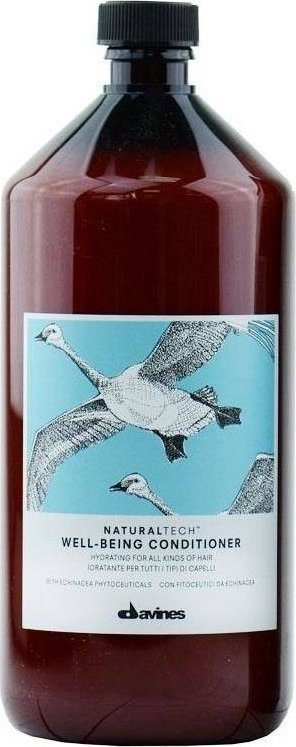 DAVINES_Natural Tech Well-Being Conditioner nawilżająca odżywka aromaterapeutyczna ułatwiająca rozczesywanie włosów 1000ml
