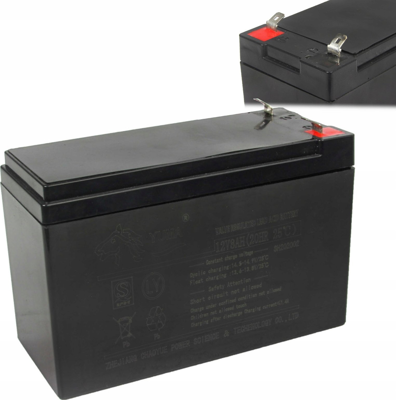 Geko Bateria/akumulator do opryskiwacza akumulatorowego 8Ah (10)