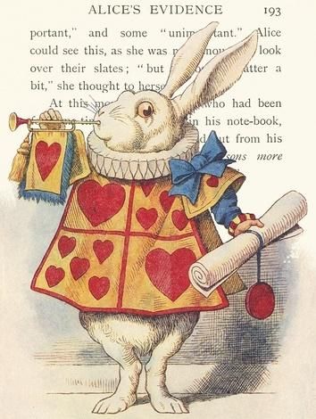 Madame Treacle Karnet B6 z kopertą Alicja w krainie czarów