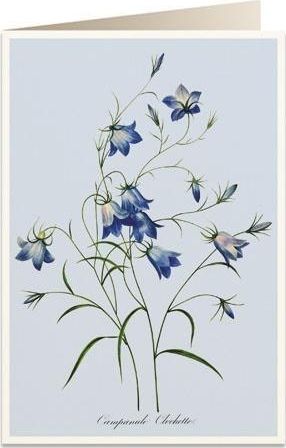 Tassotti Karnet B6 + koperta 6090 Dzwonki