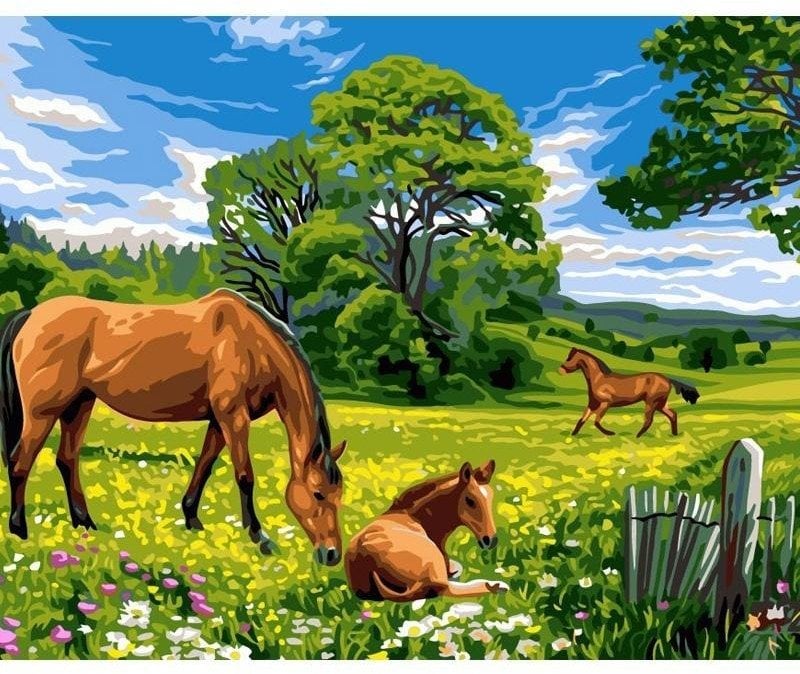 Malowanie po numerach 40x50cm Konie na łące