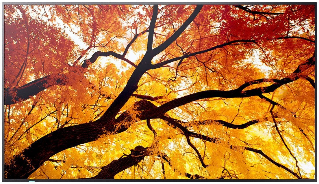 Monitor Sharp Monitor Videowall 60006058 4K Ultra HD 86"