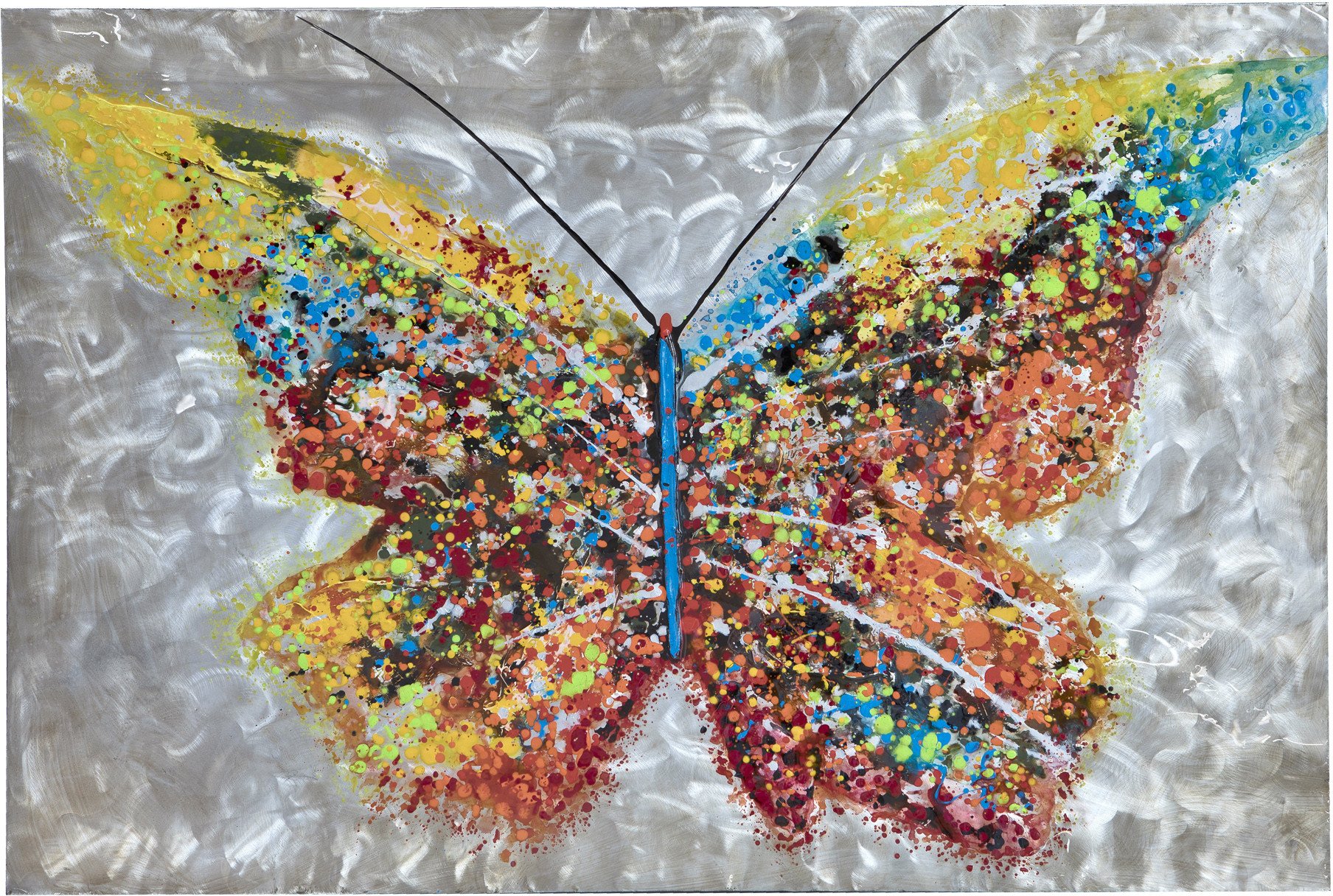 Obraz na płótnie 100x150 cm Kolorowy Motyl