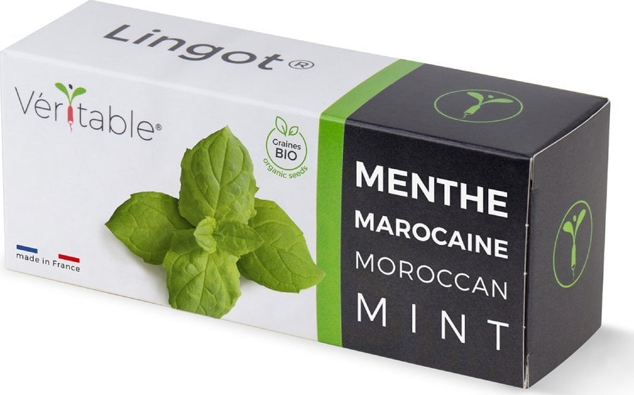 Veritable Véritable Lingot Marocká máta - BIO
