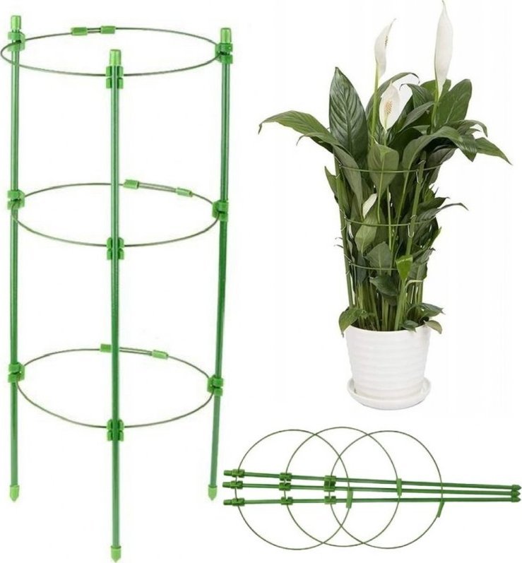 PrzydaSie Podpora Pierścieniowa Roślin Kwiatów Podpórka 60Cm
