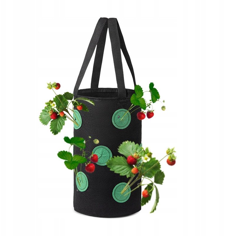 Doniczka WISZĄCA Worek POMIDORY Koktajlowe TRUSKAWKI POZIOMKI KIESZENIE 35