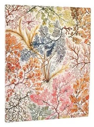 PaperBlanks Kalendarz książkowy ultra 2026 Anemone