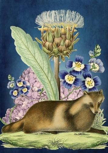 Madame Treacle Karnet B6 z kopertą Duży oset