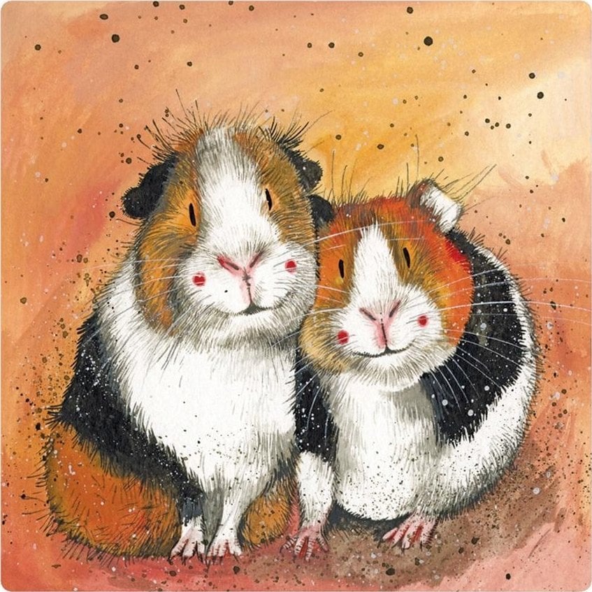 Teka Magnes FM205 ¦winki morskie