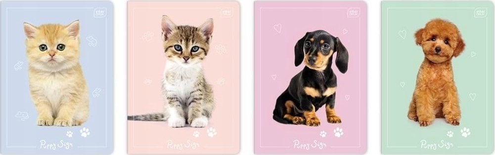 Zeszyt A5/16K kolorowa trzylinia Puppy Sign(20szt)