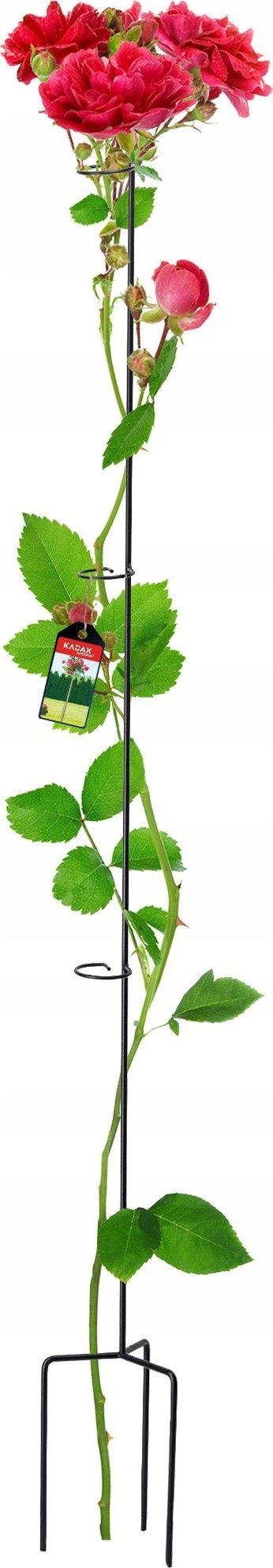 Kadax Podpora Obejma Stojak Na Róże Pnącza Stalowa 140cm