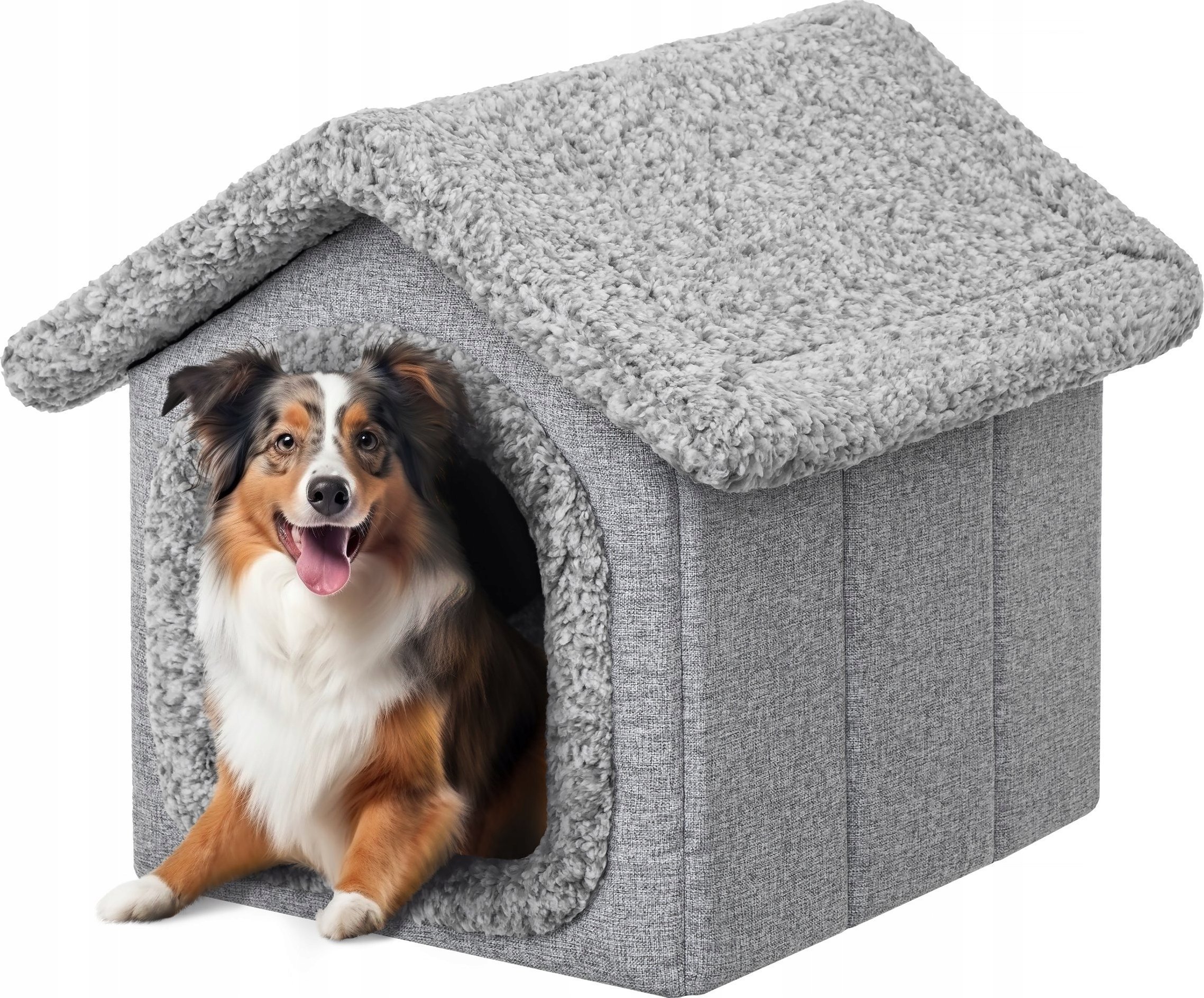 DOGGY R5 BUDA LAMB POPIELATA