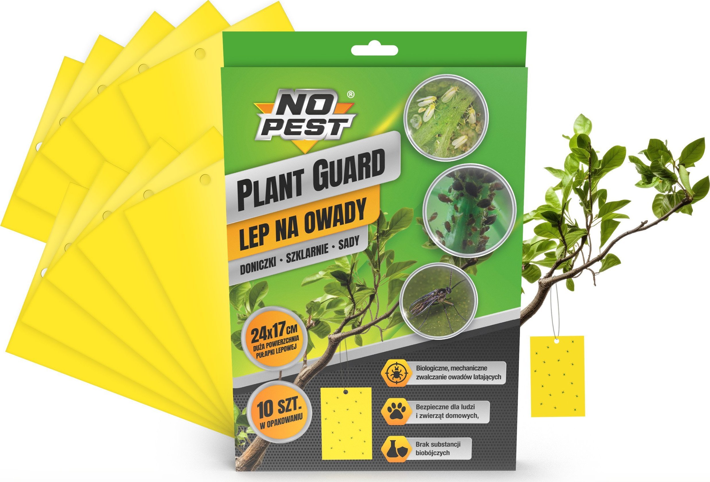 NO PEST Lep XXL do Doniczek Szklarni Sadów 24x17cm (10 szt) Pułapki Lepowe Lepy na Mszyce Ziemiórki Muszki Mrówki i Inne Szkodniki Roślin