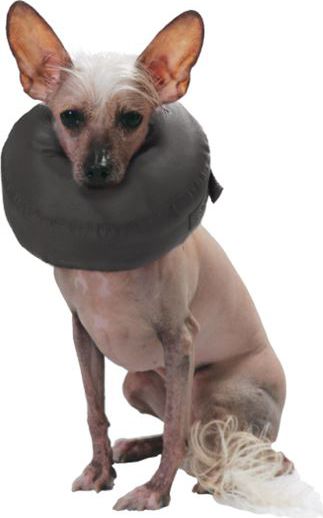 Grande Finale Kołnierz pooperacyjny rozmiar 2 [WET/K/2]