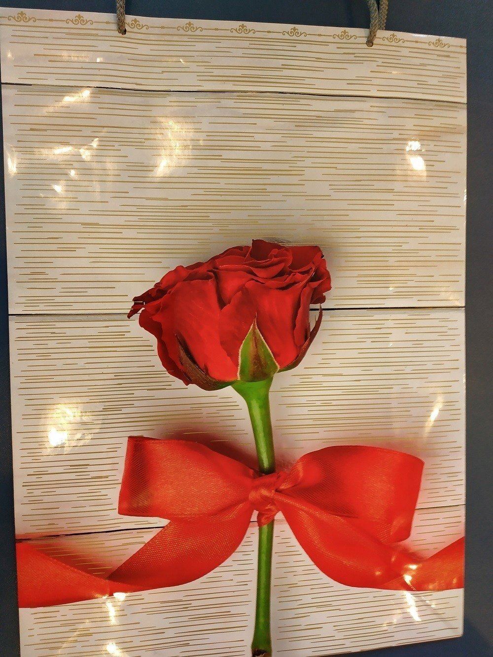 WINI Torebka T10 L - 5907803717362