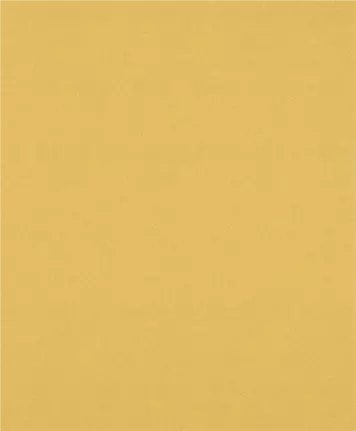 PAPIER EXPERT EXC470,120,230X280, 50X