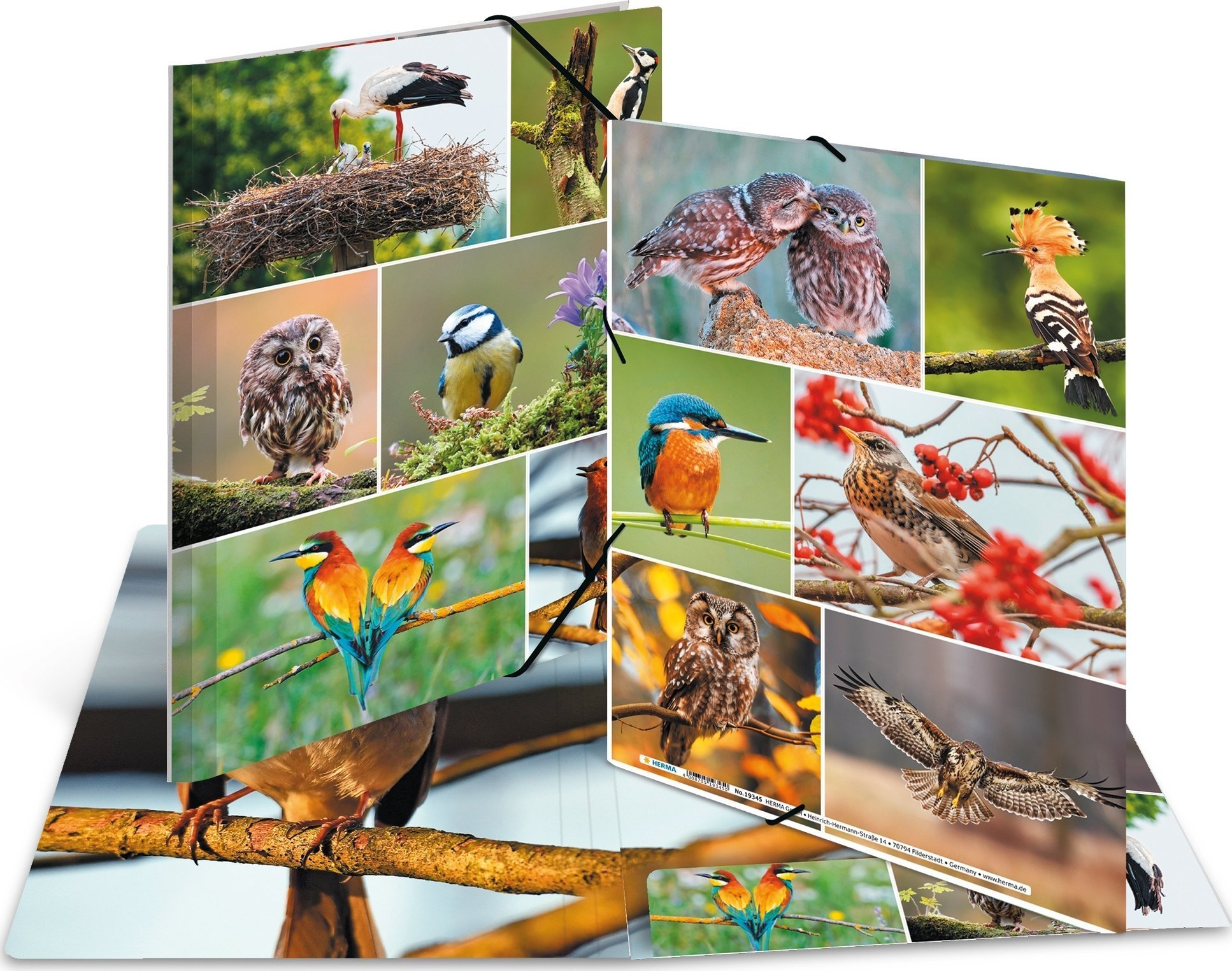 Teka Teczka A4 gumki narożne - Ptaki